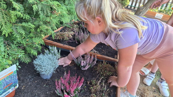 Zakładanie jesiennego ogródka w przedszkolu